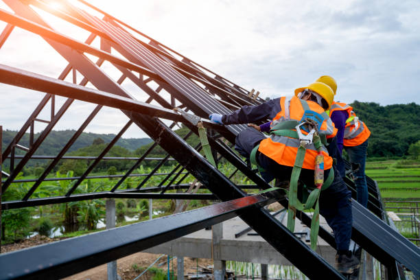 Best Roof Gutter Cleaning  in Rockwell City, IA